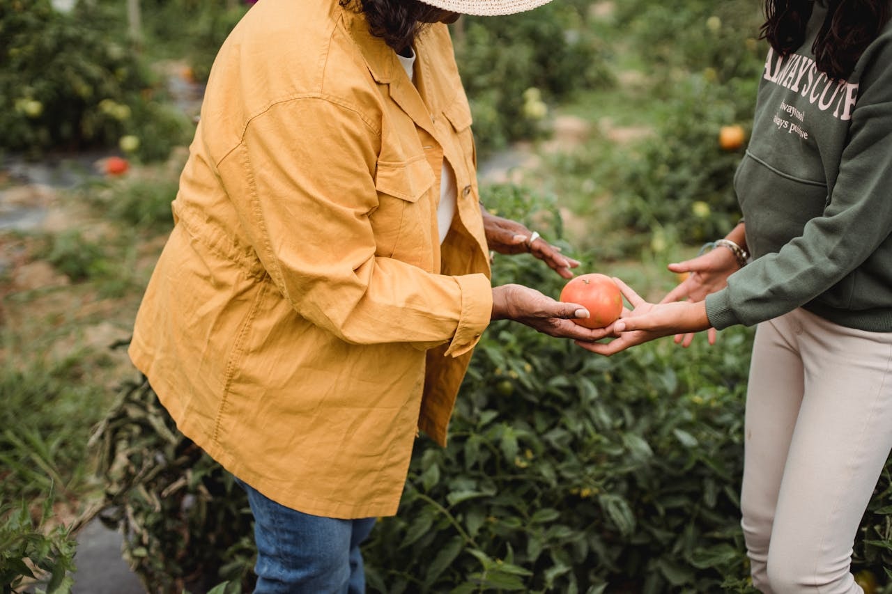 Re.Connect Support Services: Your Partner in Rural and Remote Australia