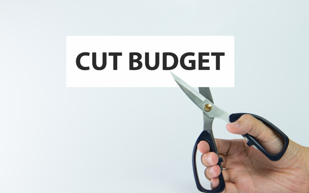 Budget Cuts and NDIS Savings: What It Means for Australians with Disability