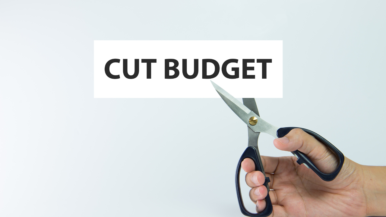budget cuts and ndis savings