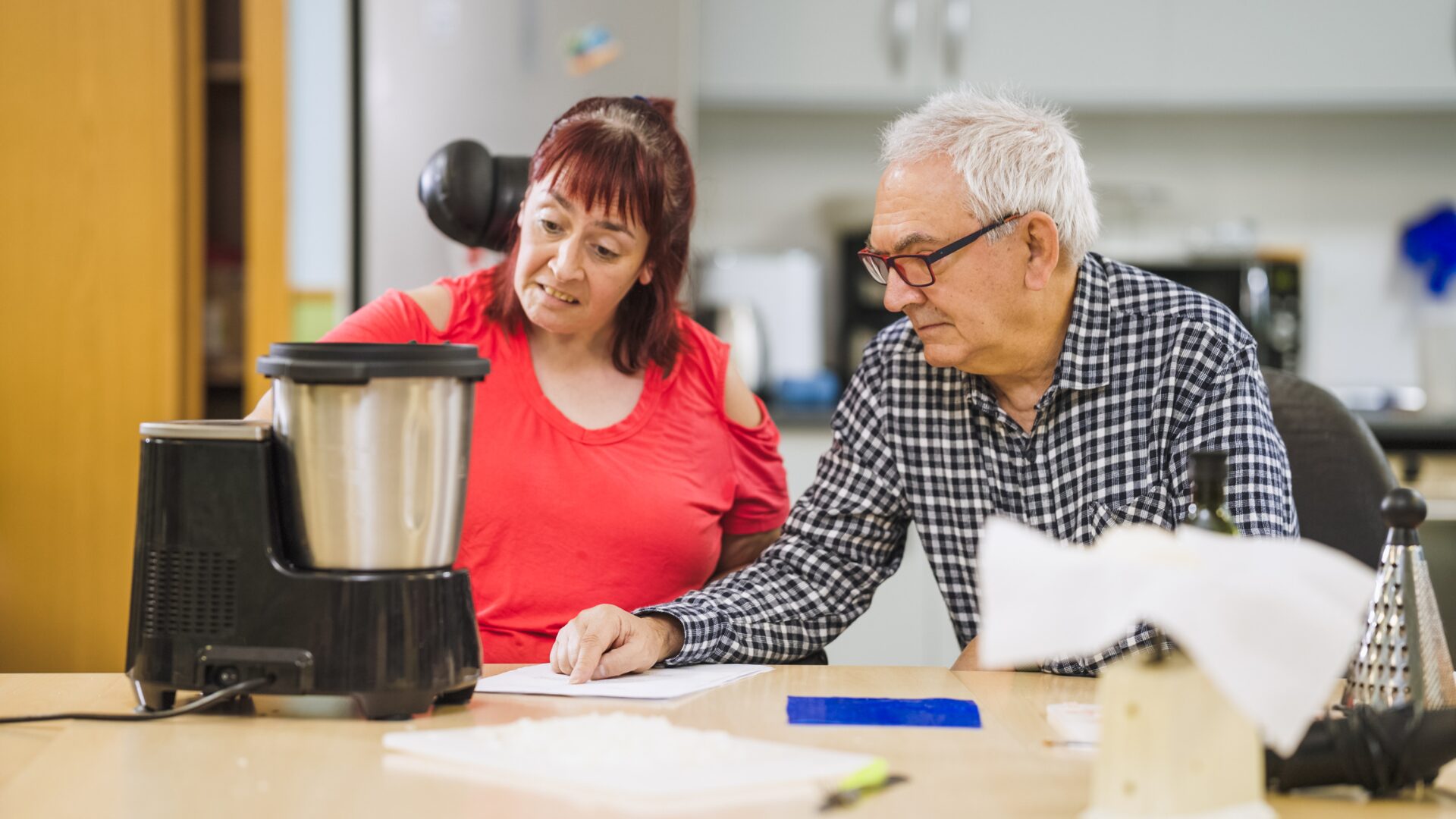 ndis domestic assistance