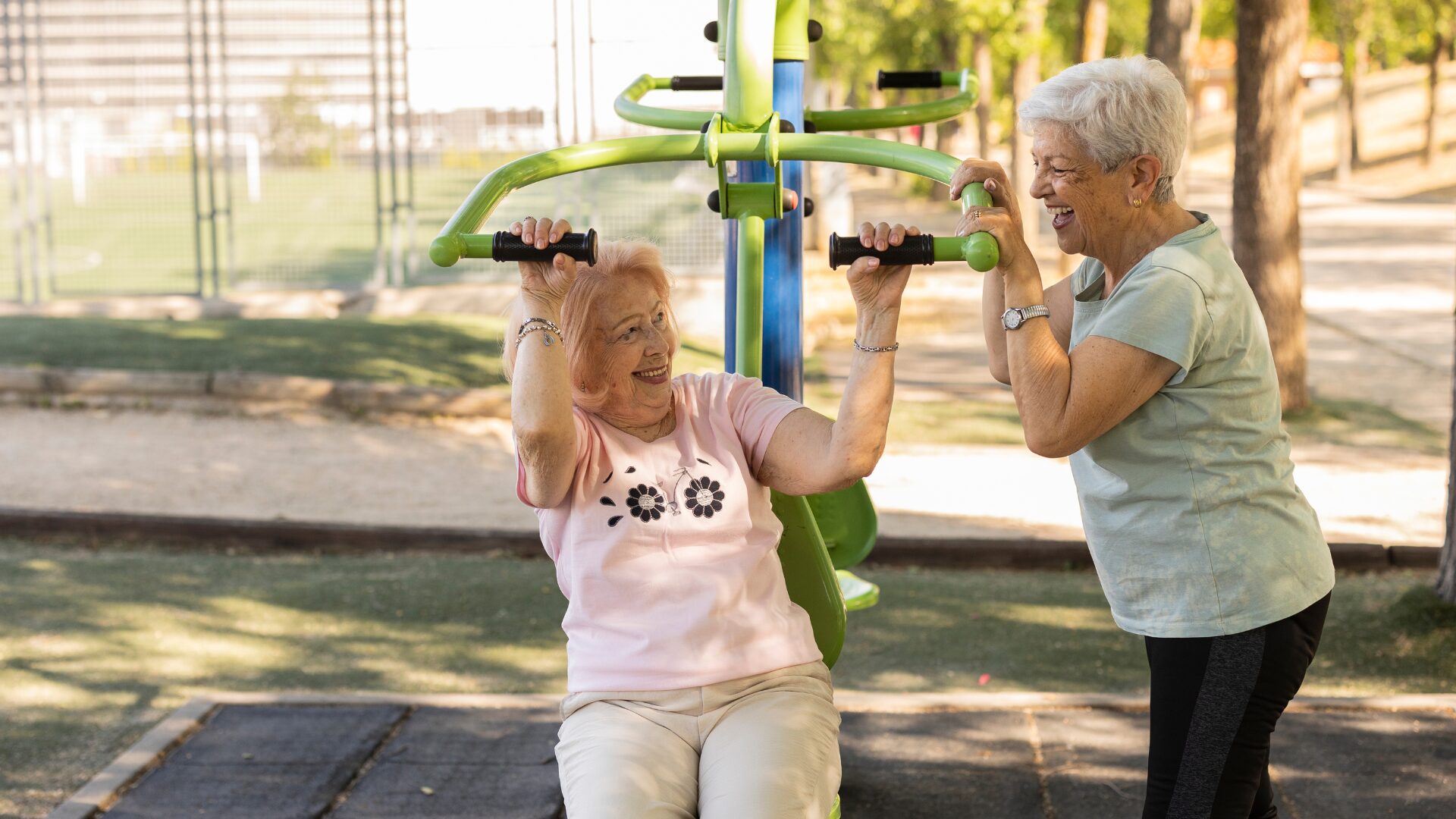 cardio exercises for elderly