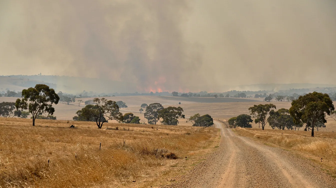 The image depicts a vast Australian rural landscape shrouded in a smoke haze from a distant bushfire on the horizon, symbolizing the importance of effective disaster management plans and emergency services in ensuring participant safety during such emergencies. The scene highlights the need for a well-structured communication plan and support network for NDIS participants facing natural disasters.